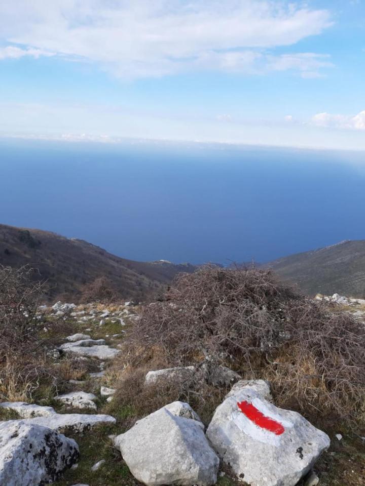 Guesthouse Hamiti Llogara Dukat エクステリア 写真